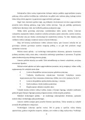 Profesinės praktikos ataskaita: viešbutis "Babilonas" UAB "Bistroma" 5 puslapis