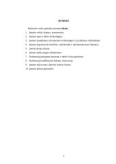 Profesinės veiklos praktikos ataskaita: drabužių siuvimas UAB "Allysa" 3 puslapis