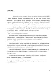 Programinės įrangos darymo proceso valdymo praktika organizacijoje 3 puslapis