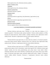 Technologinės praktikos ataskaita: rygelių gamyba AB "Kauno gelžbetonis" 7 puslapis