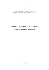 Technologinės praktikos ataskaita: Vaizdo ir garso kūrimo technologija