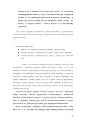 Technologinės praktikos ataskaita: Vaizdo ir garso kūrimo technologija 14 puslapis