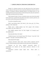 Vadybinės praktikos ataskaita: parduotuvė 13 puslapis