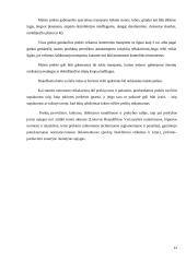 Vadybinės praktikos ataskaita: parduotuvė 14 puslapis