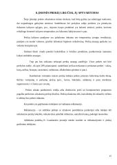 Vadybinės praktikos ataskaita: parduotuvė 15 puslapis