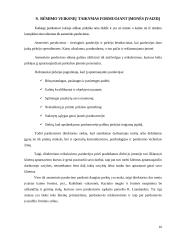 Vadybinės praktikos ataskaita: parduotuvė 16 puslapis