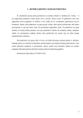 Vadybinės praktikos ataskaita: parduotuvė 4 puslapis