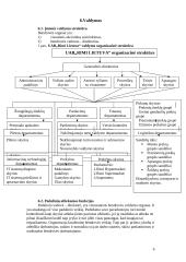 Vadybinės praktikos ataskaita: parduotuvė UAB "Rimi Lietuva" 7 puslapis