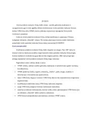 Verslo praktikos ataskaita: praktinio mokymo firma (PMF) "Saldi svaja" 2 puslapis