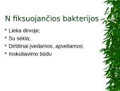 Ankštiniai javai 6 puslapis