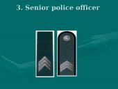 Policeman's profession 10 puslapis