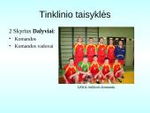 Tinklinio aikštė ir įrenginiai. Žaidimo taisyklės 12 puslapis