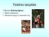 Tinklinio aikštė ir įrenginiai. Žaidimo taisyklės 17 puslapis