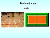 Tinklinio aikštė ir įrenginiai. Žaidimo taisyklės 2 puslapis
