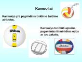 Tinklinio aikštė ir įrenginiai. Žaidimo taisyklės 6 puslapis