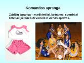 Tinklinio aikštė ir įrenginiai. Žaidimo taisyklės 7 puslapis