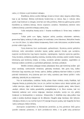Adaptacijos problema (darželis - pradinė mokykla) 3 puslapis