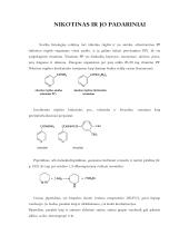 Rūkymo žala chemiko akimis 8 puslapis