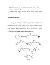 Rūkymo žala chemiko akimis 9 puslapis