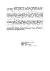 Dilgėlių nauda 2 puslapis