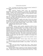 Gamtos pasaka metų laikuose 1 puslapis