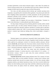 Gyvenimo lygio matavimo problemos 4 puslapis