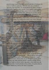 I. Šeiniaus "Kuprelio" tęsinys 2 puslapis