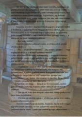 I. Šeiniaus "Kuprelio" tęsinys 3 puslapis