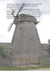 I. Šeiniaus "Kuprelio" tęsinys 4 puslapis