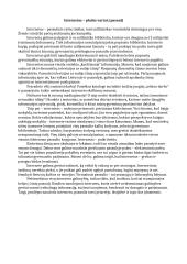 Internetas – platūs vartai į pasaulį