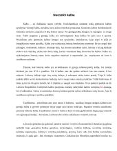 Išsaugokime lietuvybę 7 puslapis