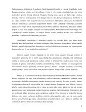 Išsaugokime lietuvybę 8 puslapis