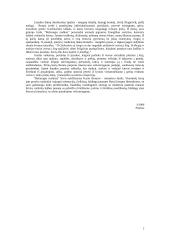 Pasakos podirvis romane "Baltaragio malūnas" 2 puslapis