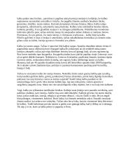 Rašinys apie kalbą 2 puslapis