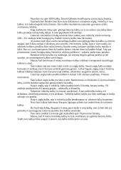 Kalbų reikšmė šiuolaikinio jaunuolio gyvenime 2 puslapis