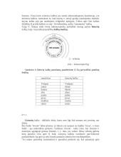 Kuo svarbi mūsų kalba? 2 puslapis