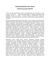 Lietuvos jaunimo likimas 1 puslapis