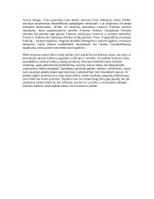 Muziejuose kaupiami praeities kultūros turtai. Kodėl jaunimui naudinga juos pažinti? 2 puslapis