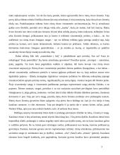 N. Eliasas "Rūmų dvaro visuomenė" - kūrinio interpretacija 3 puslapis