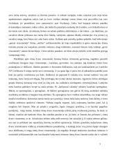 N. Eliasas "Rūmų dvaro visuomenė" - kūrinio interpretacija 5 puslapis