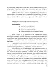 Šeimos gyvenimas kaip vaiko ugdymo veiksnys 2 puslapis