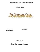 The European bison 1 puslapis