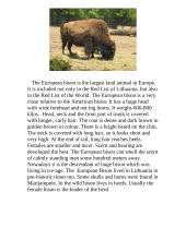 The European bison 2 puslapis