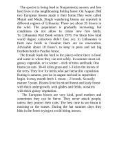 The European bison 3 puslapis