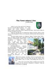 The town where I live: Šilutė 2 puslapis