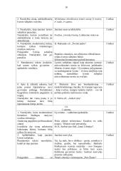 12 klases Vytauto Mačernio Viziju ir Sonetu analizė 18 puslapis