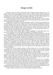 Žmogaus vertybės 1 puslapis