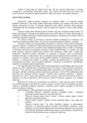 10 kokybės vadybos priemonių ir būdų 13 puslapis