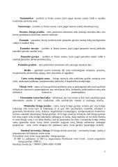 20-asis verslo apskaitos standartas "Nuoma, lizingas (finansinė nuoma) ir panauda" 4 puslapis
