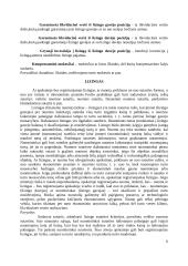 20-asis verslo apskaitos standartas "Nuoma, lizingas (finansinė nuoma) ir panauda" 5 puslapis